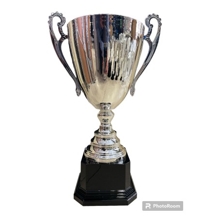 TROFEO 4241