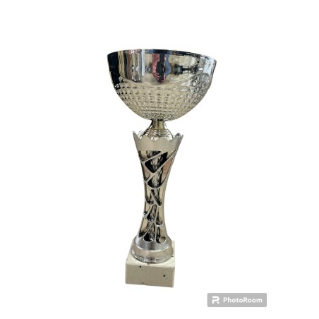 COPA 30